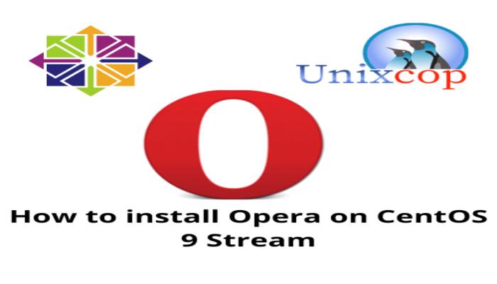 Opera 101.0.4843.58 instal the new for apple
