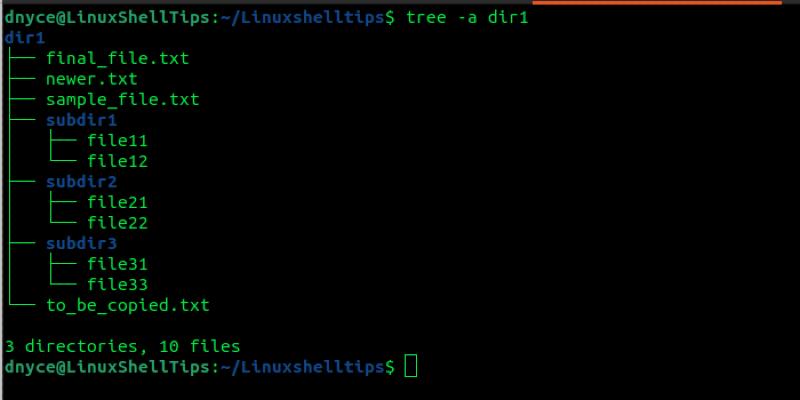 how-to-copy-directory-structure-without-files-in-linux