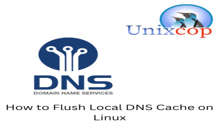 how-to-flush-local-dns-cache-on-linux